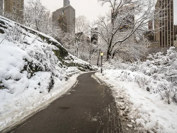 Central Park Efter Snöstorm Vintern — Stockfoto