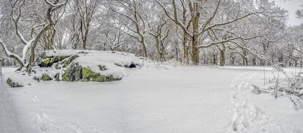 Central Park Após Tempestade Neve Inverno — Fotografia de Stock