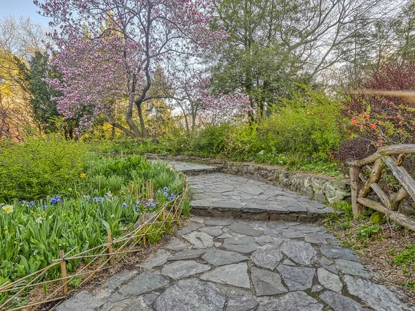 Bahar central park, new york city — Stok fotoğraf