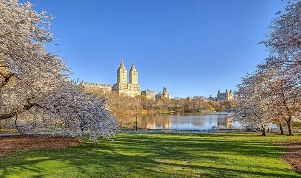 Central park, new york city voorjaar — Stockfoto