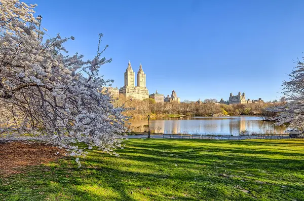 Central Park, New York City Spring — Stockfoto