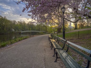 İlkbaharın başında köprü