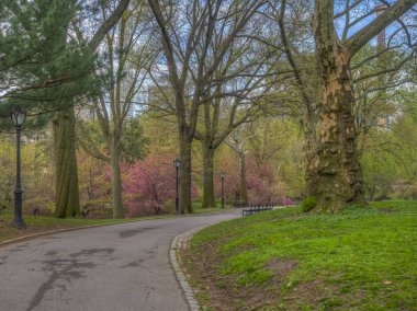 Central Park'ta bahar