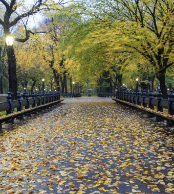 Central Park Alışveriş Merkezi