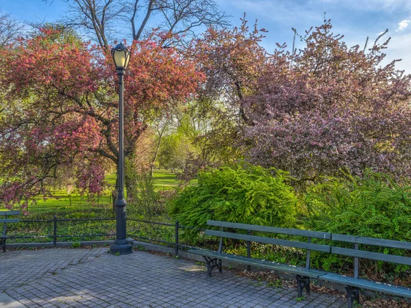 中央公园在春天 — 图库照片