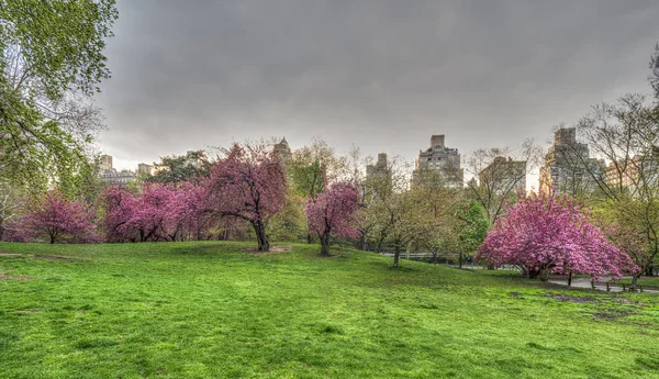 Central Park en primavera — Foto de Stock