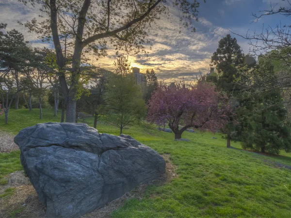 Central Park in spring — Stock Photo, Image