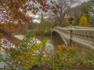 Autumn in Central Park clipart