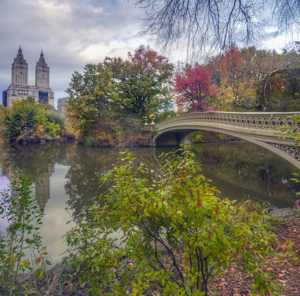 AUTUMN EN PARQUE CENTRAL — Foto de Stock