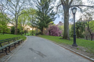 Central Park'ta bahar