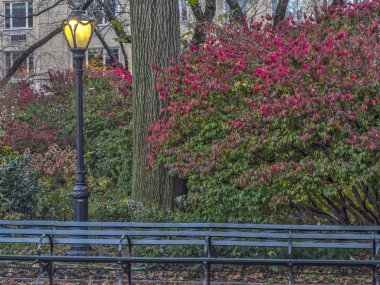 central Park'ta sonbahar