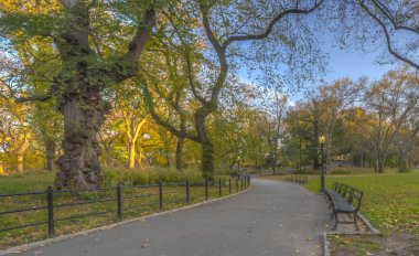 central Park'ta sonbahar