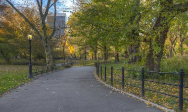 central Park'ta sonbahar