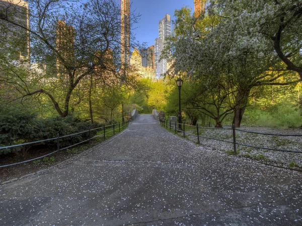 Puente de Gapstow en Central Park — Foto de Stock