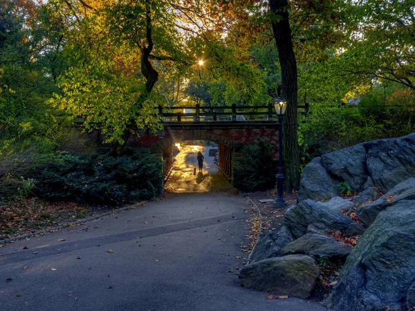 Herfst in central park — Stockfoto