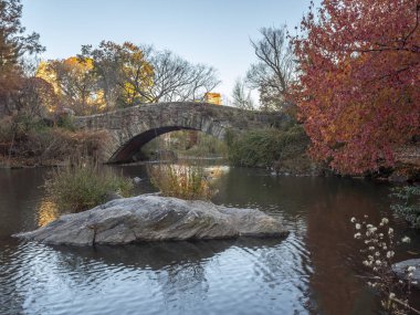 Central Park Gapstow Köprüsü Sonbaharı