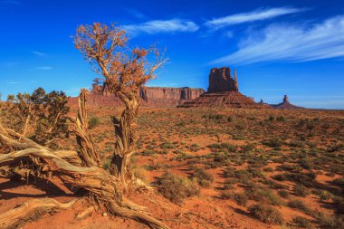  Anıt vadi kumtaşı popoları