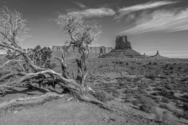 Monument valley sandstone buttes — Stock Photo, Image
