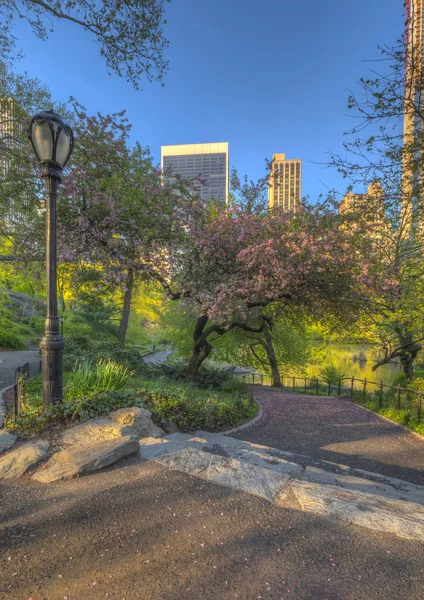 Central Park in spring — Stock Photo, Image