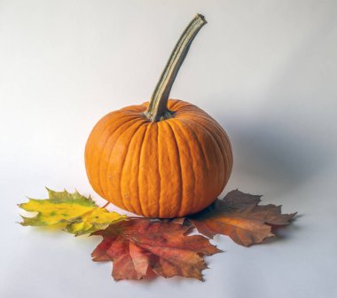 Sonbahar sakin bir hayat