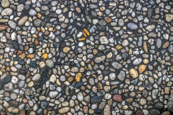 Small sidewalk stones — Stock Photo, Image