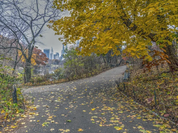 Central park, new york şehri göle — Stok fotoğraf