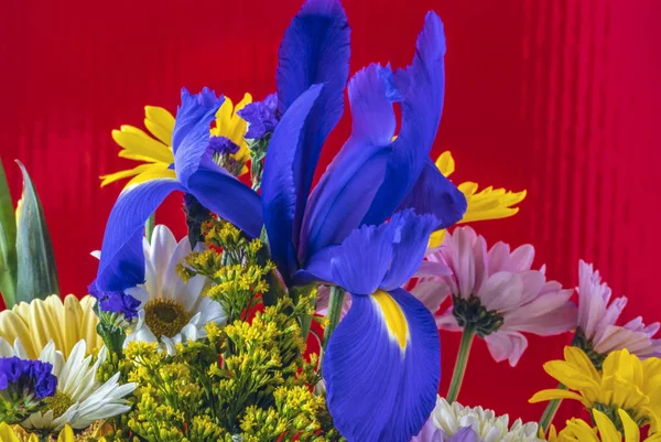 Arranjo de flores em close-up — Fotografia de Stock