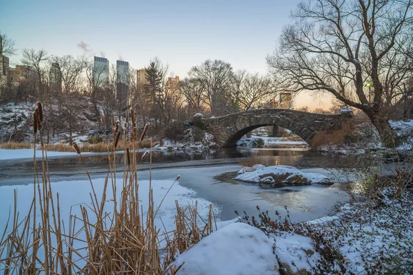 Gapstow Bridge i Central Park — Stockfoto