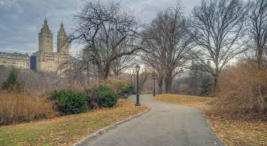 Kışın Central Park 