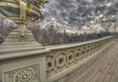 Kışın Central Park 