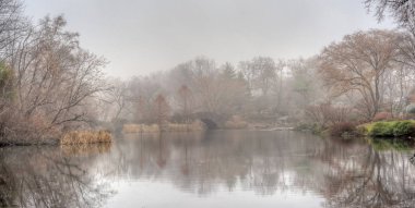 Central Park 'taki Gapstow Köprüsü