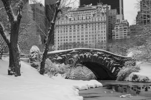 Central Park 'taki Gapstow Köprüsü — Stok fotoğraf