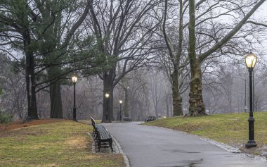 Kışın Central Park 