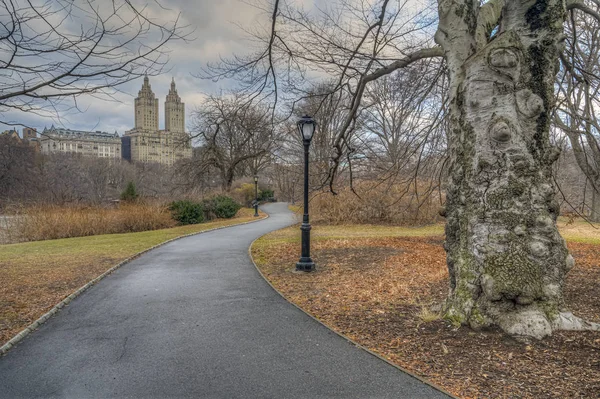 Central Park im Winter — Stockfoto