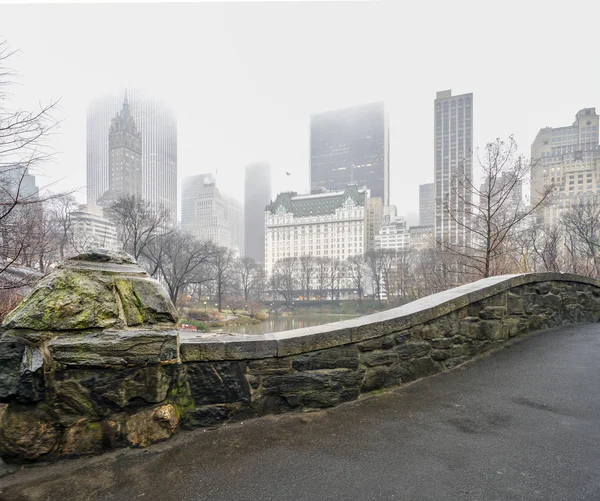 Central Park 'taki Gapstow Köprüsü — Stok fotoğraf