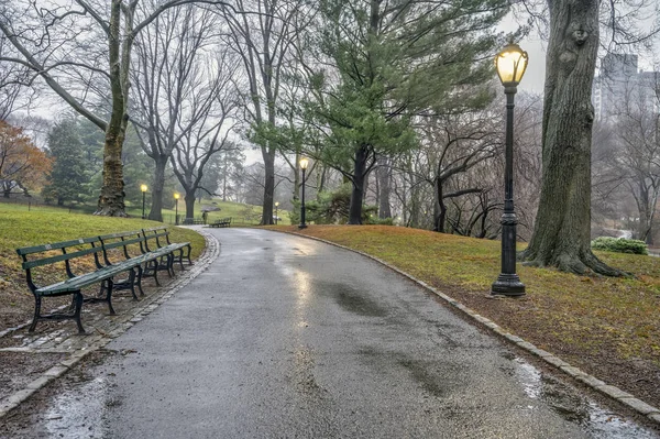 Central Park en hiver — Photo