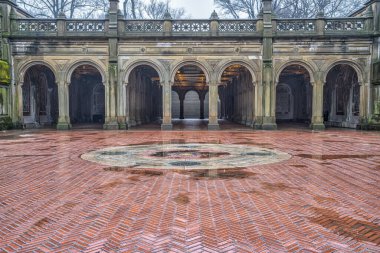 Bethesda Terrace ve Fountain, New York 'un Central Park' ındaki göle bakan iki mimari özelliktir..