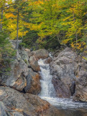 New Hampshire 'daki Swift nehrinde sonbahar Glen Ellis Şelalesi