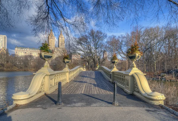 Bogenbrücke Central Park New York City Winter — Stockfoto