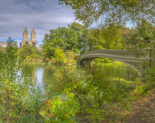 Most Łukowy Central Park Nowy Jork Późnym Latem — Zdjęcie stockowe