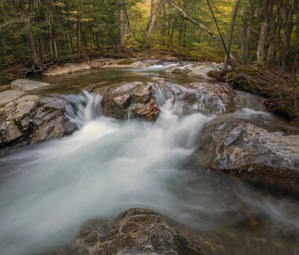 Sonbahar Yaprakları Ormanda Şelaleler Boyunca New Hampshire — Stok fotoğraf