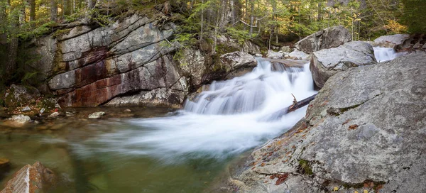 Herbstliches Laub Wald Entlang Der Wasserfälle New Hampshire — Stockfoto