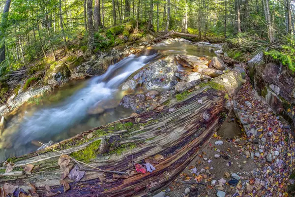 滝に沿って森の中の秋の紅葉 ニューハンプシャー州 — ストック写真