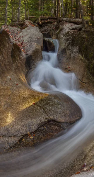 Herbstliches Laub Wald Entlang Der Wasserfälle New Hampshire — Stockfoto