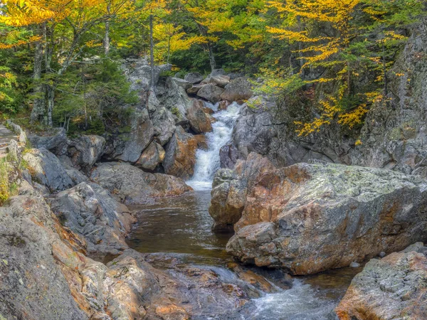 Podzimní Podzimní Listí Lese Glen Ellis Falls — Stock fotografie