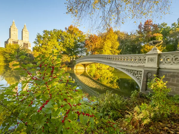 Puente Proa Central Park Nueva York Finales Otoño — Foto de Stock