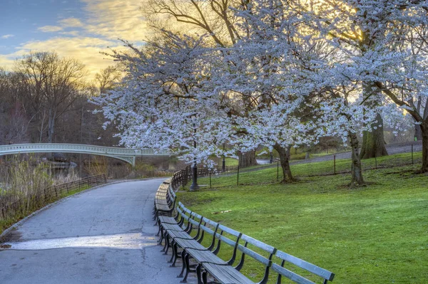 Bow Bridge Central Park New York City Spring — Stock Photo, Image