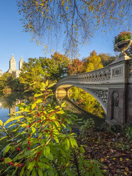 Bogenbrücke Central Park New York City Spätherbst — Stockfoto
