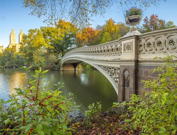 Bogenbrücke Central Park New York City Frühen Morgen — Stockfoto