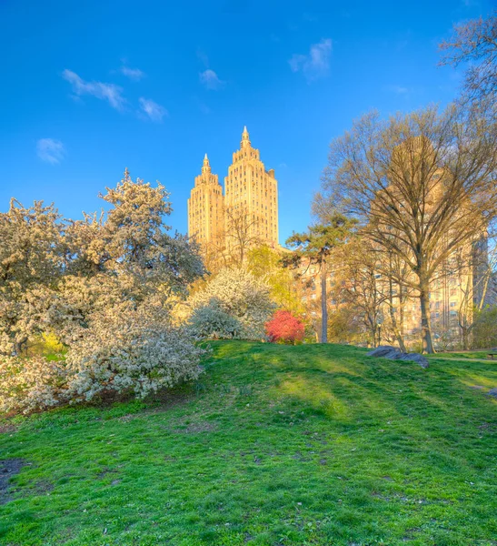 Central Park 'ta bahar, New York